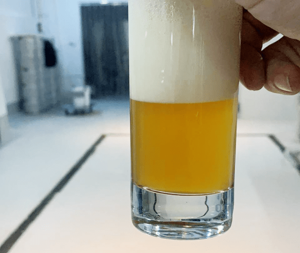 52848343_2451513611543099_7287530371313303552_n