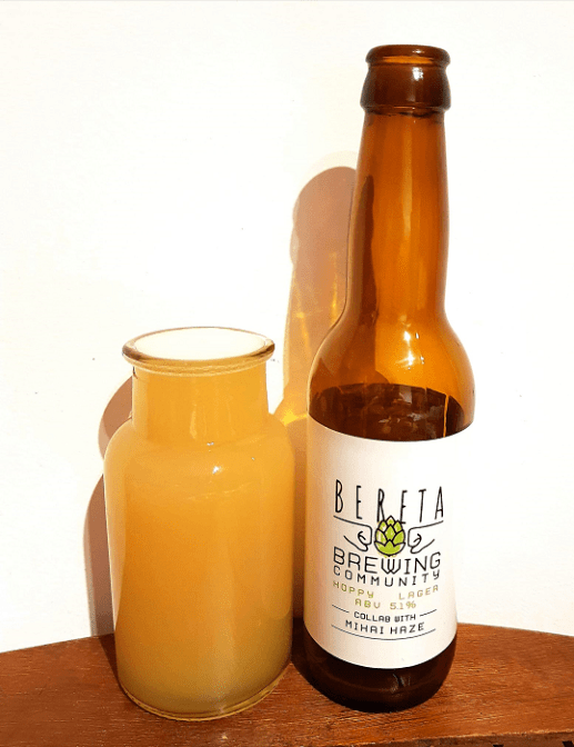 54279401_2400067006887702_5443245631722225664_o