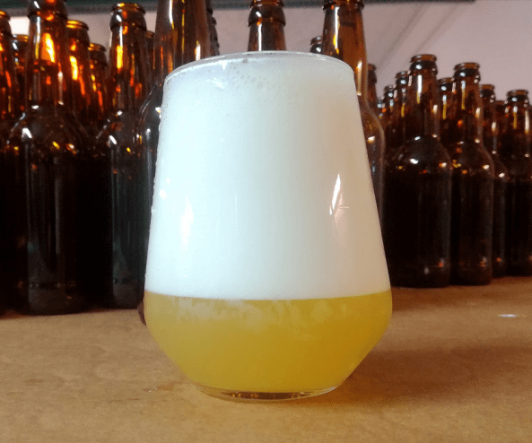 55529890_2403115856582817_5077511797620080640_o