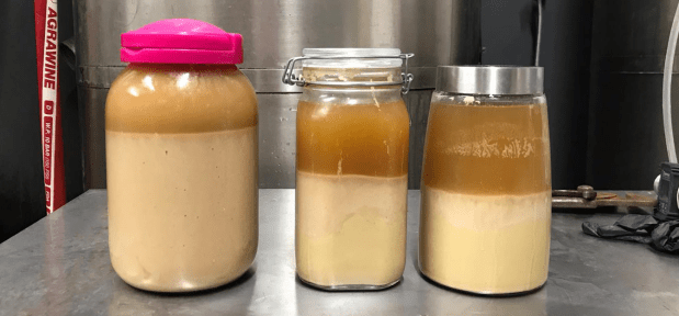 68578237_414587719167137_4042284938228137984_n